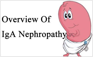 Overview Of IgA Nephropathy
