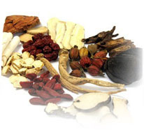 Lupus Nephritis Treatment