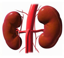 Minimal Change Disease Diagnosed