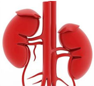 Minimal Change Disease Treatment