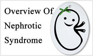 Overview Of Nephrotic Syndrome