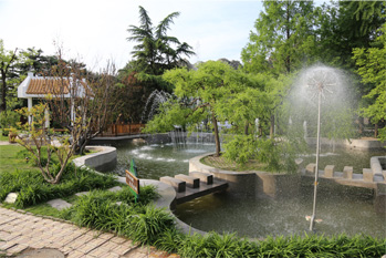 Hospital Fountain