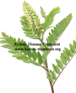How to Lower High Creatinine Level in Blood