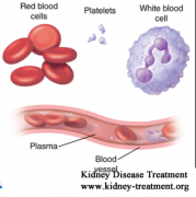 How Does CKD Cause Renal Anemia