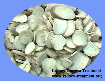 Herbs to Reduce the Progression of Class IV IgA Nephropathy