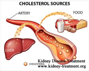 High Cholesterol and High Blood Pressure in IgA Nephropathy