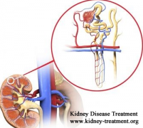 Best Treatment for Renal Parenchymal Disease of Type 1