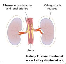 Does the Kidney Shrink in End Stage Renal Disease
