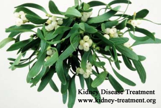 Herbs Help to Treat Hypertensive Renal Disease