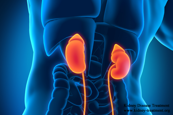 Is There Any Way to Recover Damaged Kidneys 