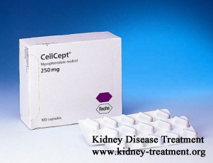 What are the Side Effects of Cellcept in Minimal Change Disease?