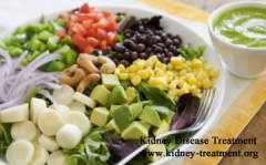 Diet Suggestions for a Vegetarian in Chronic Kidney Disease Stage 3