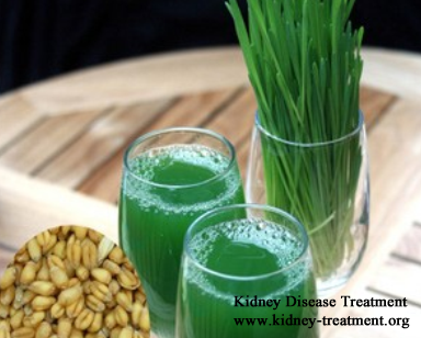 Wheat Grass and Kidney Failure Patients