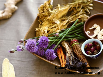 Chinese Treatment for IgA Nephropathy Patients