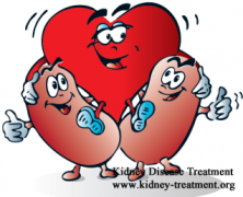 Can Heart Problem Cause Kidney Damage for People with One Kidney