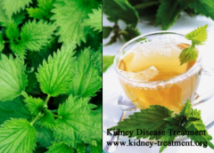 Is Nettle Tea Good for Chronic Kidney Disease Patients