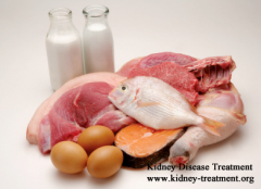 Which Kind of Protein Source Foods can be Chosen for Henoch-Schönlein Purpura Nephritis