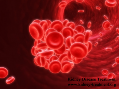 Causes of Renal Anemia for Kidney Failure Patients