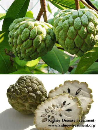 Is Custard Apples are Good for Kidney Disease Patients