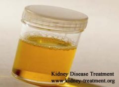 Why does Lupus Nephritis Cause Amounts of Protein in Urine