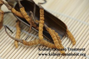 Cordyceps Sinensis for Kidney Disease Patients with Lower GFR