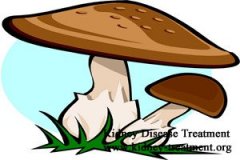 Can Kidney Failure Patients Have Mushroom