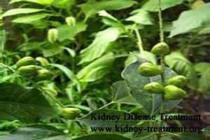 Diabetic Nephropathy:Consequences of Neglecting Diabetes