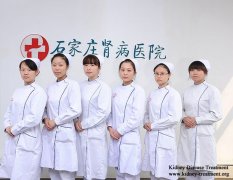 Shijiazhuang Kidney Disease Hospital Service