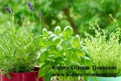 Do You Have Consideration on Taking Herbal Medicines for Your Kidney Disease?