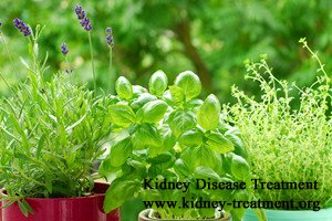 Do You Have Consideration on Taking Herbal Medicines for Your Kidney Disease