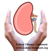 21% Kidney Function with IgA Nephropathy Is There Any Natural Cure