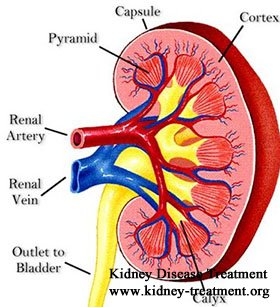 Is There Permanent Solution to Cure Bilateral Renal Parenchymal Disease