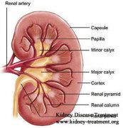 Average Life Expectancy with PKD and Kidney Failure Age 62