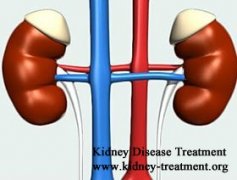 Natural Ways to Improve Kidney Function in Renal Failure No Dialysis
