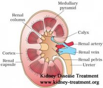 When Kidneys are Only Functioning at 22% in CKD What does It Mean