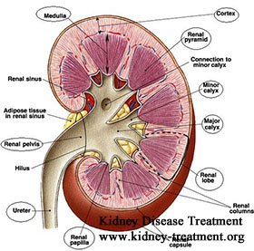What If Creatinine Level is 8 with Diabetes and Kidney Failure