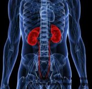 Natural Healing for Glomerulonephritis & 4th Stage Kidney Failure