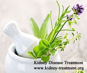 23% Kidney Function in Purpura Nephritis Chinese Herb Medicine