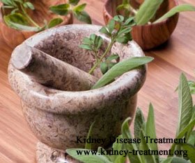 Herbal Medicine Treatment for Kidney Failure without Dialysis