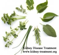 Herbal Medicine Treatment for GFR 8 in Kidney Failure