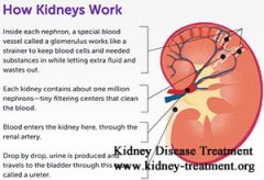 Kidneys are Functioning at 7% in Nephrotic Syndrome How Long to Live