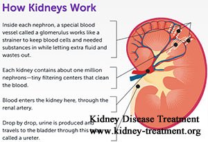 Kidneys are Functioning at 7% in Nephrotic Syndrome How Long to Live