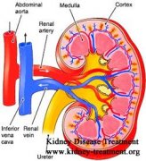 15 Percent Kidney Function in FSGS Life Expectancy