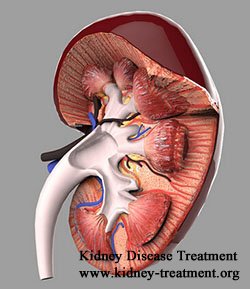 Can You Live a Normal Life with Polycystic Kidney Disease in ESRD