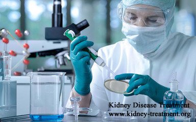 The Reasons of Shrunk Kidney in Chronic Kidney Disease