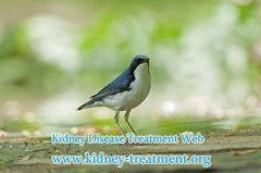 Is It Possible to Reverse 70% of Kidney Function in Chronic Kidney Disease