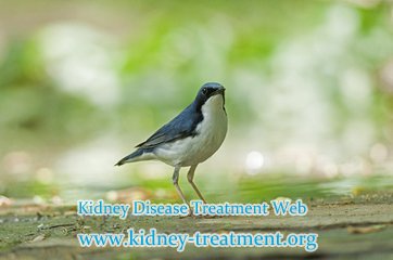 Is It Possible to Reverse 70% of Kidney Function in Chronic Kidney Disease