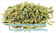 Are Fennel Seeds Good for End Stage Renal Disease