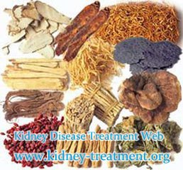 Chinese Herb Medicine Can Reverse the Damaged Kidney Function