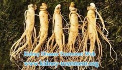 Ginseng for the Treatment of Kidney Cysts